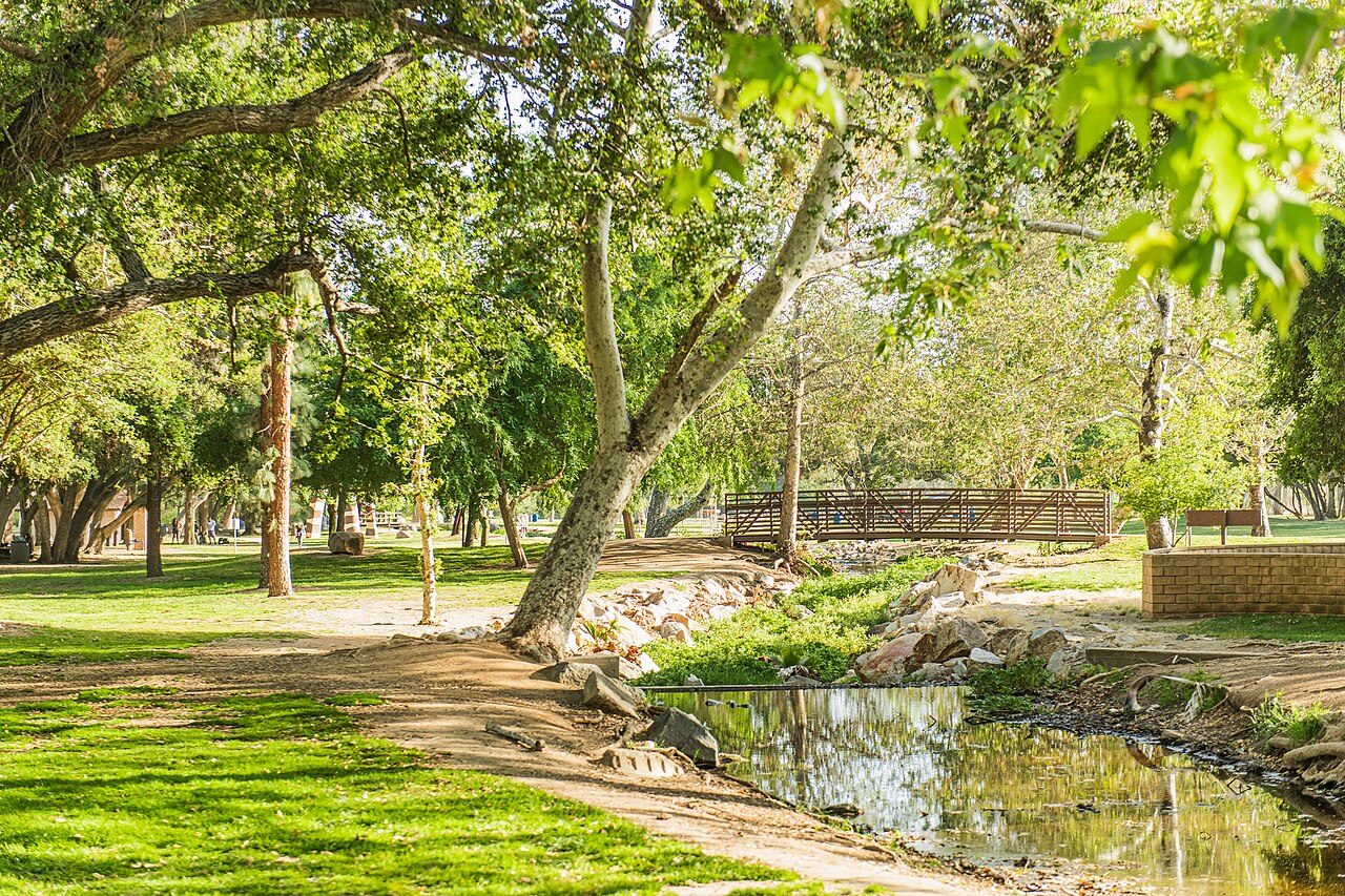 Sunlit trees, a creek, and a pedestrian bridge at Kit Carson Park.