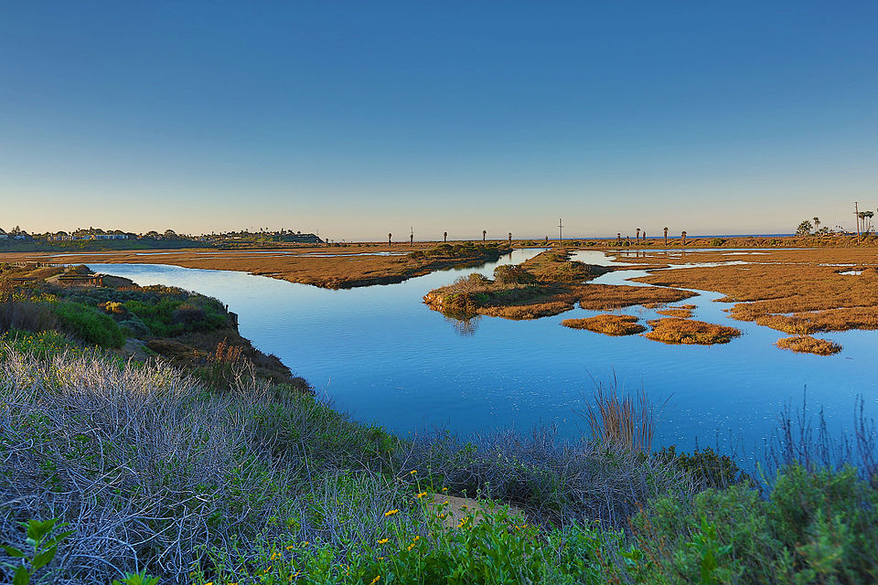 Open water and wetland vegetation at San Elijo Lagoon.